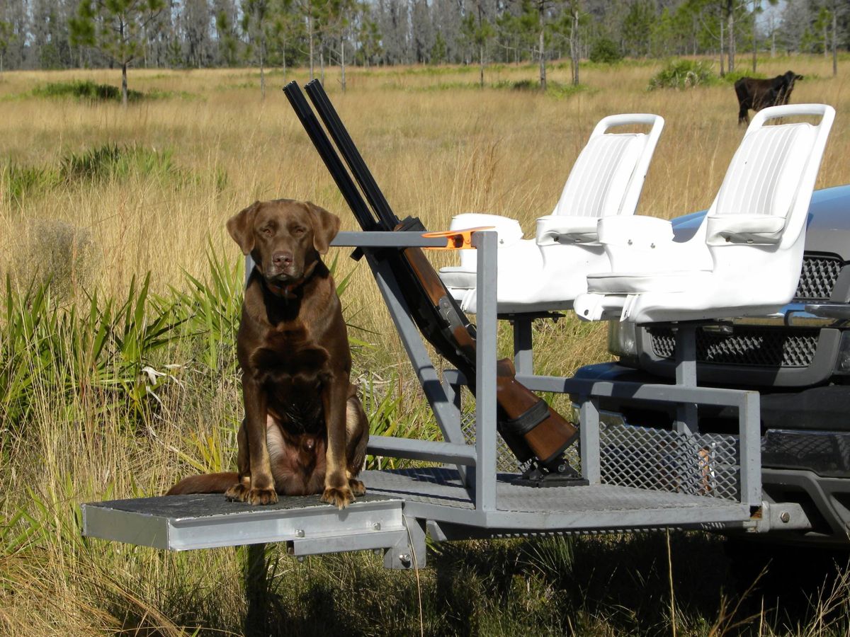 Pheasant tower shoot stations at Three Pines Preserve