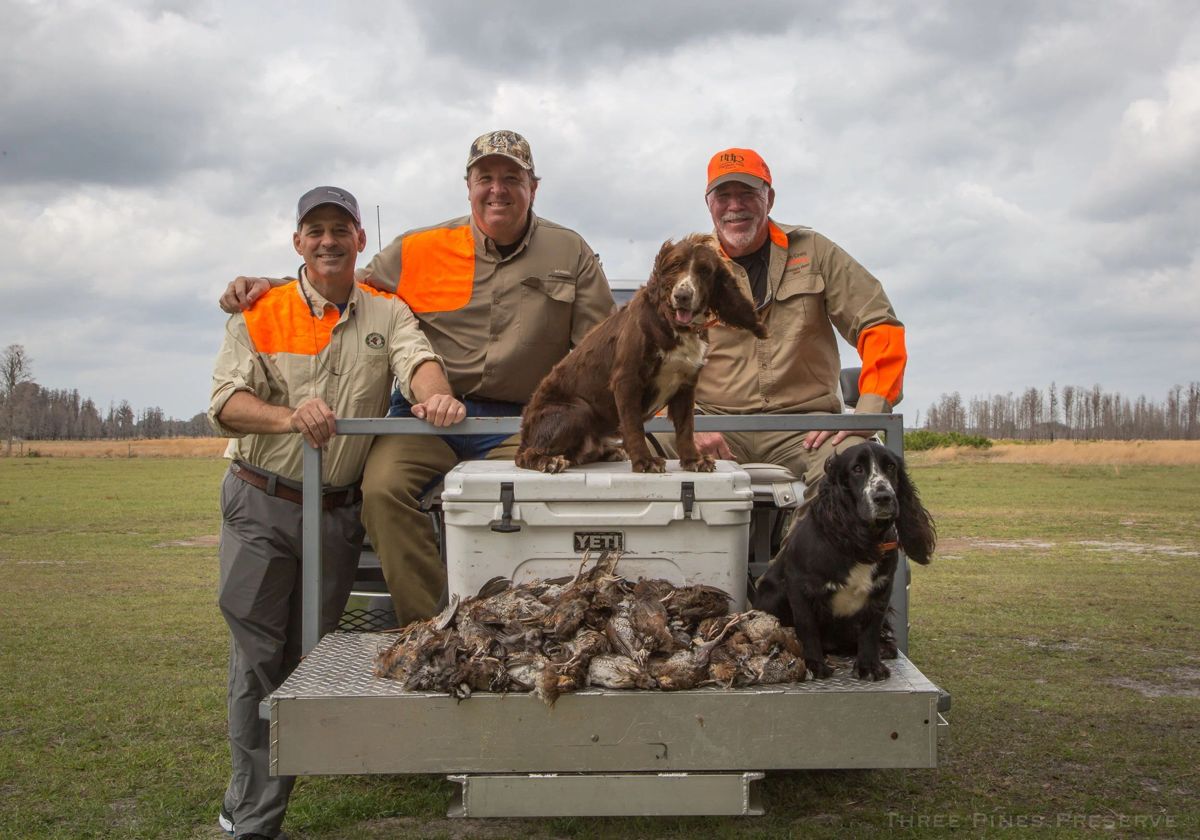 Hunters in blaze orange with the day's birds and bird dogs
