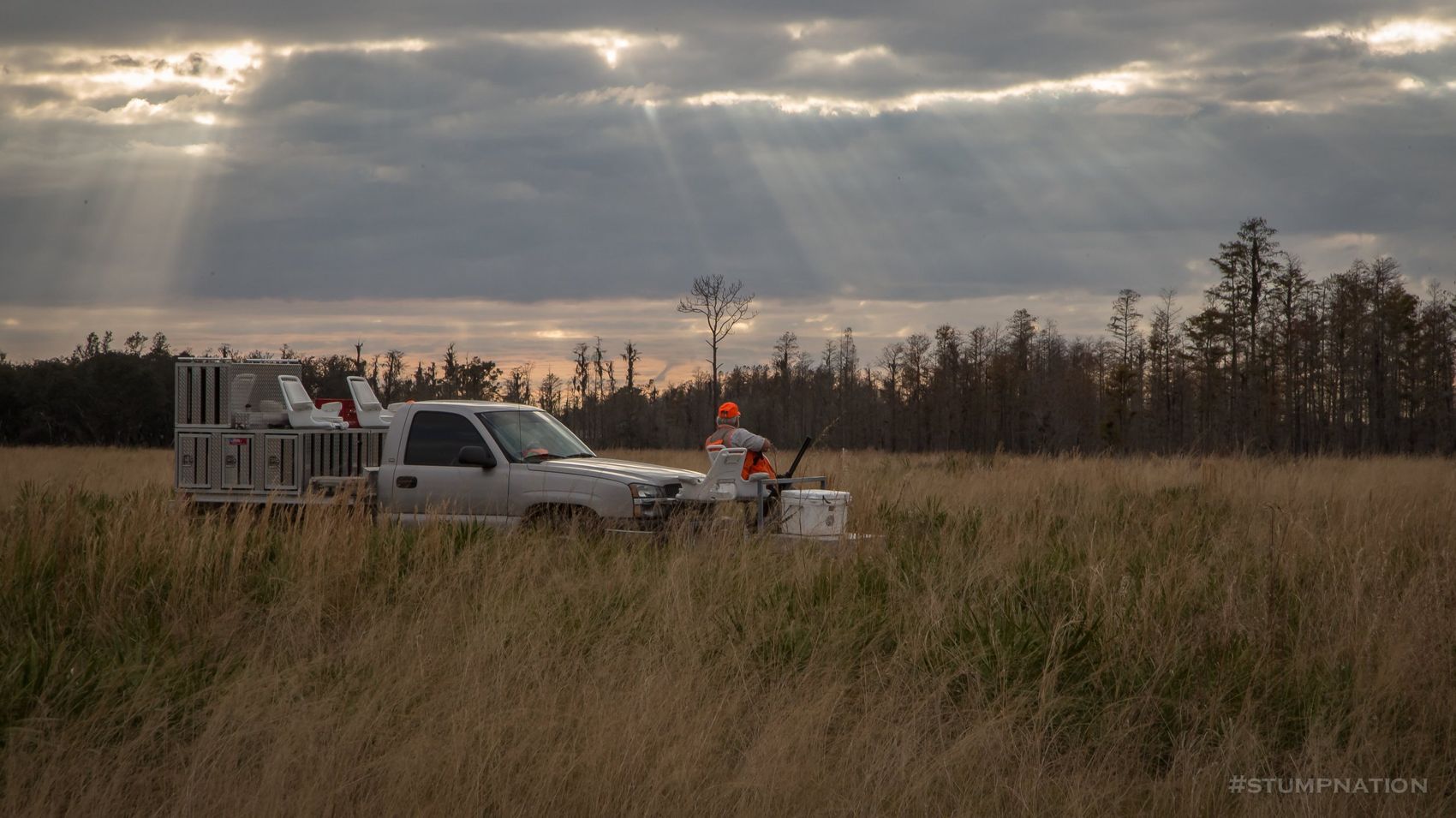 Native Florida wiregrass and broom sage hunting habitat
