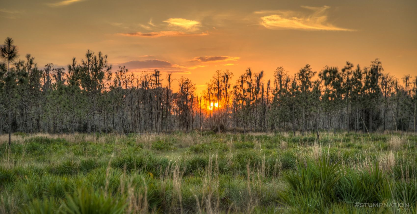 Sunset over the ranch fields
